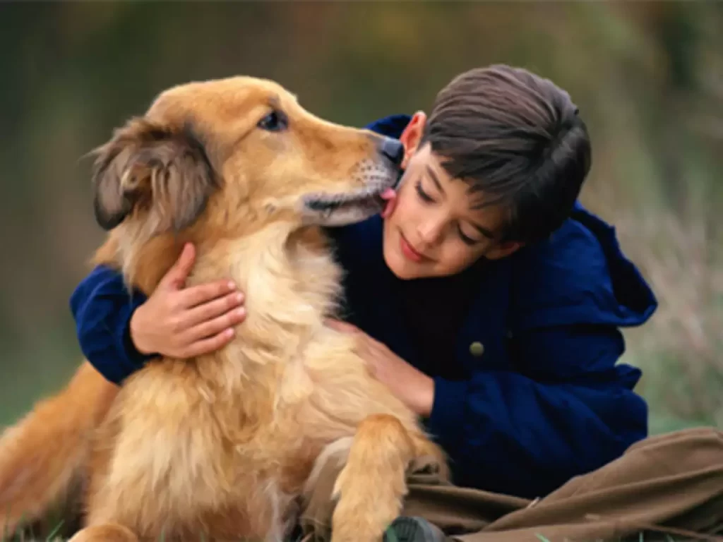 Health Benefits of Spending Time With Animals and Pets